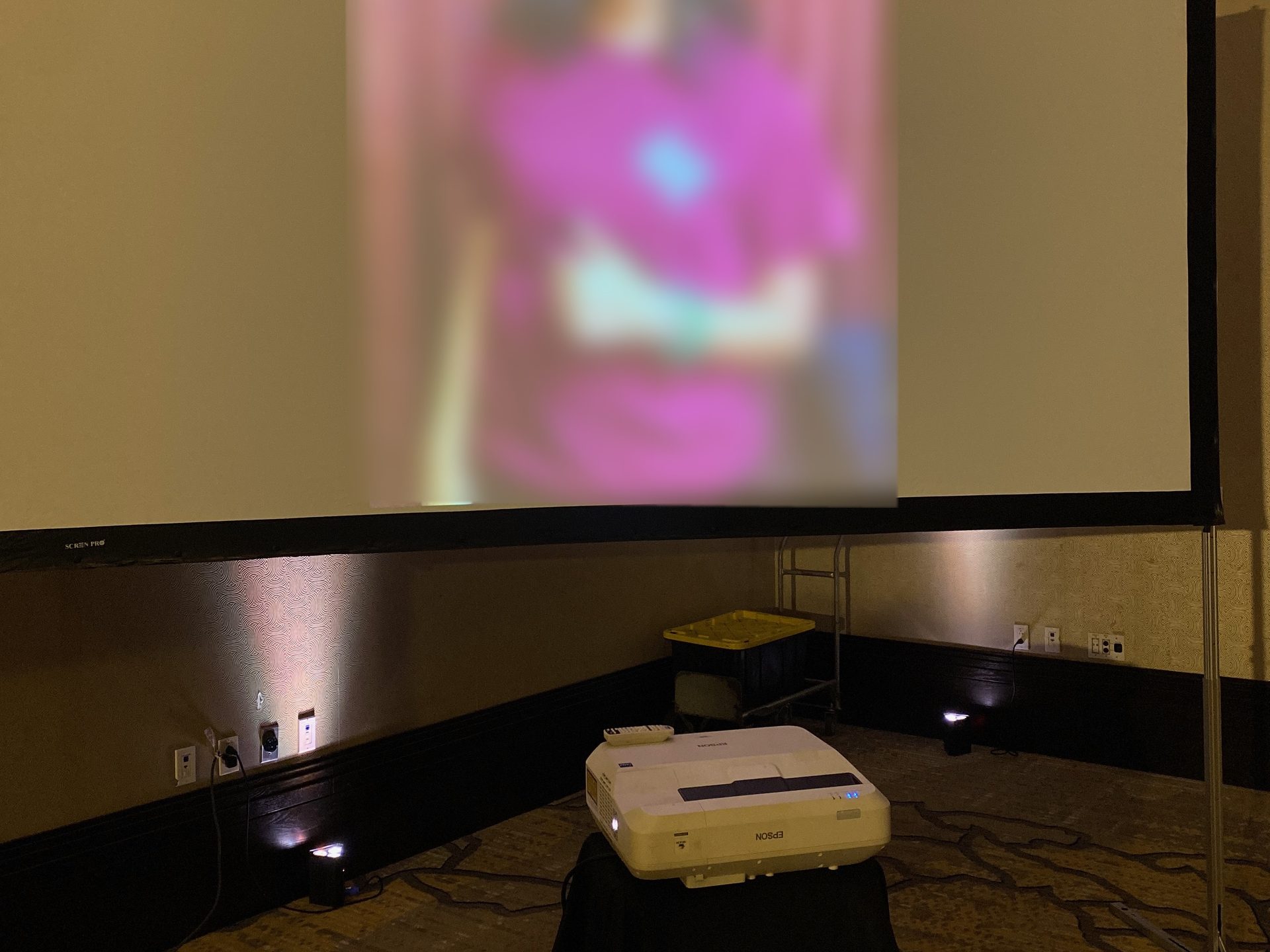 A wedding photo slideshow on a dressed projection screen with uplights behind it at a DFW reception
